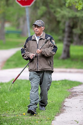 BROOK JONES / FREE PRESS
Manitoba Natural Resources and Northern Development Wildlife Control Office Kerry Singcliar is pictured assessing the situation as a black bear climbed up an oak tree at the corner of Manchester Boulevard South and Wildwood Street in Winnipeg's Wildwood neighourhood in Winnipeg, Man., Tuesday, May 21, 2024.