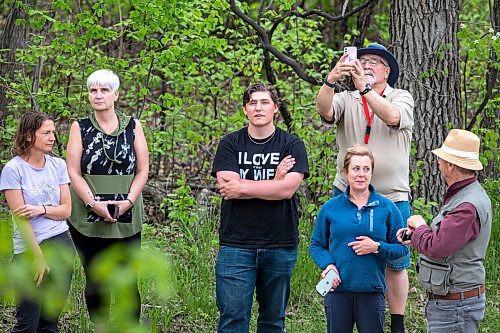 BROOK JONES / FREE PRESS
Onlookers are pictured watching a black bear that climbed up an oak tree at the corner of Manchester Boulevard South and Wildwood Street in Winnipeg's Wildwood neighourhood in Winnipeg, Man., Tuesday, May 21, 2024. Don Werschler is pictured taking a photo with his cellphone.