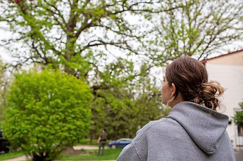 BROOK JONES / FREE PRESS
Sophie Warketine, 22, watches a black bear that climbed up an oak tree at the corner of Manchester Boulevard South and Wildwood Street in Winnipeg's Wildwood neighourhood in Winnipeg, Man., Tuesday, May 21, 2024. Warketine was pictured from her front yard on Manchester Boulevard South.