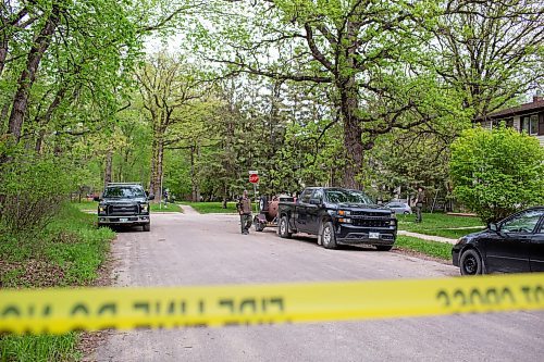 BROOK JONES / FREE PRESS
Manitoba Conservation Officers are pictured on the scene as a young black bear climbed up an oak tree at the corner of Manchester Boulevard South and Wildwood Street in Winnipeg's Wildwood neighourhood in Winnipeg, Man., Tuesday, May 21, 2024.