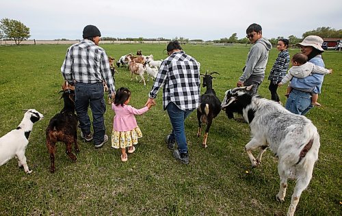 JOHN WOODS / FREE PRESS
ThaMu Eh, right, with her daughters Willow (pink) and Meadow (grey), and her father Doh Htoo Eh, from left, mother Nyo You San, future brother-in-law Ler Pway Htoo and sister Chri Htoo Eh feed their goats at their multi-generational home north of Stonewall Tuesday, May 21, 2024. 

Reporter: gabby