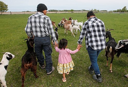 JOHN WOODS / FREE PRESS
ThaMu Eh&#x573; daughter Willow walks with her grandfather Doh Htoo Eh, left, and grandmother Nyo You San, at their multi-generational home north of Stonewall Tuesday, May 21, 2024. 

Reporter: gabby