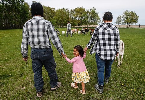 JOHN WOODS / FREE PRESS
ThaMu Eh&#x573; daughter Willow walks with her grandfather Doh Htoo Eh, left, and grandmother Nyo You San, at their multi-generational home north of Stonewall Tuesday, May 21, 2024. 

Reporter: gabby