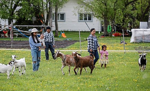 JOHN WOODS / FREE PRESS
ThaMu Eh, left, with her daughters Willow (pink) and Meadow (grey), walks with her mother Nyo You San, father Doh Htoo Eh and their goats at their multi-generational home north of Stonewall Tuesday, May 21, 2024. 

Reporter: gabby