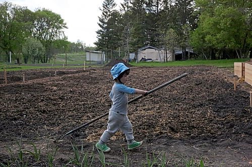 Milo Timshel helps out around the Souris-Glenwood Commnity Garden on May 20. The official opening for the garden will be held May 31. (Charlotte McConkey/The Brandon Sun)