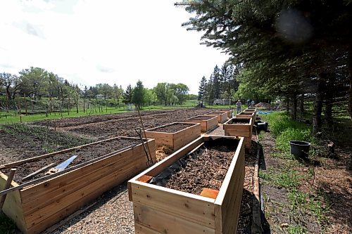 The accessible beds were built by the Grade 8 woodworking class at Souris School, and the raised beds were built by the Grade 7 class. The official opening for the garden will be held May 31. (Charlotte McConkey/The Brandon Sun)