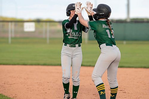 BROOK JONES / FREE PRESS
St. James A's (Yellow - female team) players Kirsten Giesbrecht (left) and Kennedy Morissette give each other high fives during the team's home game against the St. James A's (Green) in Winnipeg Minor Baseball League 15U AA action at St. James Optimist Fields in Winnipeg, Man., Wednesday, May 22, 2024. The St. James A's (Yellow  - female team) earned their first win of the 2024 season after earning a 6-2 vicrtory over the St. James A's (Green).