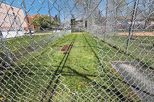 Ruth Bonneville / Free Press

Local - CC Break in

Thieves cut the wire fencing on the batting cage to make off with a pitching machine and baseball equipment at Norberry-Glenlee Communjty Centre located at 176 Worthington Ave.  



May 22nd, 2024
