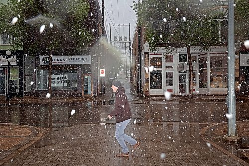 24052024
a pedestrian walks along Rosser Avenue as large snow flakes fall during unseasonable winter weather in the wheat city on Friday. Overnight rain turned to snow on Friday in westman with slush and snow accumulating in Brandon. 
(Tim Smith/The Brandon Sun)