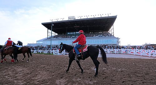 JASON HALSTEAD / FREE PRESS
Horses parade to post for Race 1 on the opening day of live thoroughbred racing on May 20, 2024 at Assiniboia Downs.