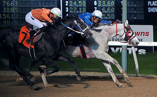 JASON HALSTEAD / FREE PRESS
Jockey Rachaad Knights (right) rides Brody's Streak to victory in Race 2 with jockey Antonio Whitehall close behind aboard Chicago's Gray in Race 4 on the opening day of live thoroughbred racing on May 20, 2024 at Assiniboia Downs.