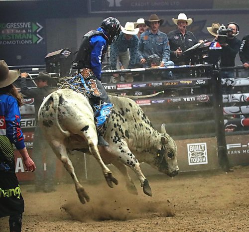 Coy Robbins of Camrose, Alta., rides Finger Roll for a score of 85.5 during the first round of the PBR Chute Out at Westman Place on Saturday evening in front of an enthusiastic sold-out crowd. (Perry Bergson/The Brandon Sun)
May 25, 2024