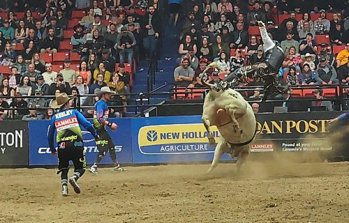 Nick Tetz gets thrown by Trust Issues during the first round of the PBR Chute Out at Westman Place on Saturday evening in front of an enthusiastic sold-out crowd. (Perry Bergson/The Brandon Sun)
May 25, 2024