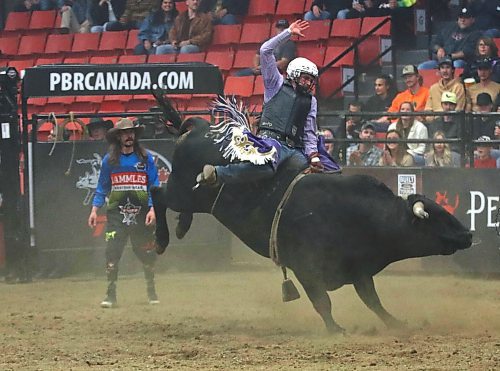 Weston Davidson rides Busta Rhymes during the first round of the PBR Chute Out at Westman Place on Saturday evening in front of an enthusiastic sold-out crowd. (Perry Bergson/The Brandon Sun)
May 25, 2024