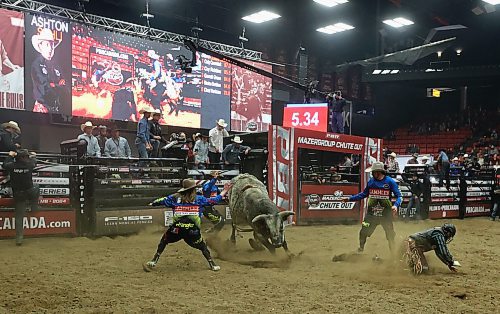 Rider Ashton Sahli of Red Deer, Alta., scrambles to safety as bull fighters Jesse Byrne, Tanner Byrne and Chase Keeley swarm in to protect him from Stubborn Pride at the PBR Chute Out at Westman Place on Saturday evening in front of an enthusiastic sold-out crowd. (Perry Bergson/The Brandon Sun)
May 25, 2024