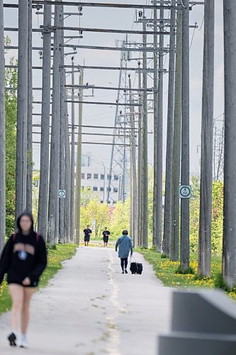 MIKE DEAL / FREE PRESS
People use the Transcona Trail close to the area where a Transcona Collegiate student was walking (McMeans and Hoka St) and was struck in the head by a hawk believed to be nesting in the area. 
240527 - Monday, May 27, 2024.