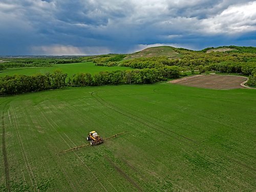 A sprayer works in a field south of Rivers on Monday as rain falls in the distance. (Tim Smith/The Brandon Sun)