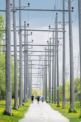 MIKE DEAL / FREE PRESS
People use the Transcona Trail close to the area where a Transcona Collegiate student was walking (McMeans and Hoka St) and was struck in the head by a hawk believed to be nesting in the area. 
240527 - Monday, May 27, 2024.