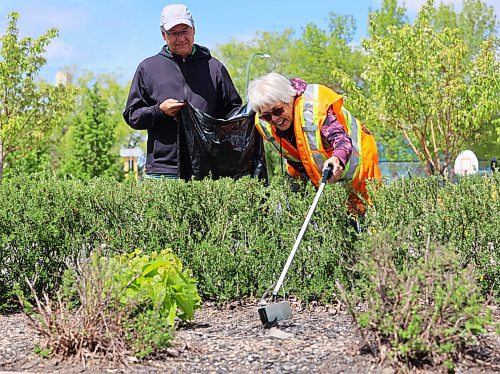 Brandon's Deb Gray picks up litter in the flower bed of the downtown YMCA, while her husband Brent stands by with a garbage bag, during the city's third annual downtown spring cleanup on Tuesday (Michele McDougall/The Brandon Sun)