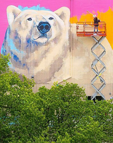 MIKE DEAL / FREE PRESS
Artist Kal Barteski works on a huge 36 x 110 foot (approximately 300 square metres) in-progress mural, located at Balmoral Hall School. The donor-funded initiative celebrate&#x2019;s the school&#x2019;s inclusive girls&#x2019; education program and Barteski says is inspired by bold, creative, fearless females, &#x201c;looking forward as strong, caring leaders of our communities and world.&#x201d;
240528 - Tuesday, May 28, 2024.