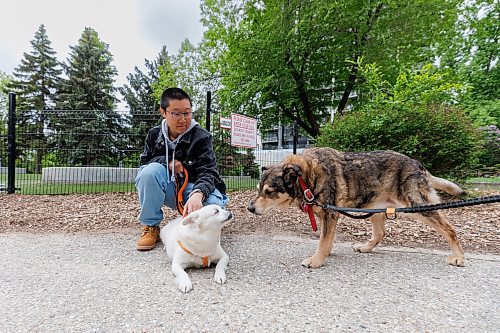 MIKE DEAL / FREE PRESS
Yidan Zhu with their dog, Dou Dou, makes friends with Tootie at the Bonnycastle Dog Park at Assiniboine Avenue and Garry Street, Tuesday afternoon.
240528 - Tuesday, May 28, 2024.