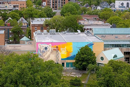 MIKE DEAL / FREE PRESS
Artist Kal Barteski works on a huge 36 x 110 foot (approximately 300 square metres) in-progress mural, located at Balmoral Hall School. The donor-funded initiative celebrate&#x2019;s the school&#x2019;s inclusive girls&#x2019; education program and Barteski says is inspired by bold, creative, fearless females, &#x201c;looking forward as strong, caring leaders of our communities and world.&#x201d;
240528 - Tuesday, May 28, 2024.