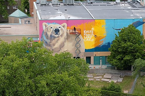 MIKE DEAL / FREE PRESS
Artist Kal Barteski works on a huge 36 x 110 foot (approximately 300 square metres) in-progress mural, located at Balmoral Hall School. The donor-funded initiative celebrate&#x2019;s the school&#x2019;s inclusive girls&#x2019; education program and Barteski says is inspired by bold, creative, fearless females, &#x201c;looking forward as strong, caring leaders of our communities and world.&#x201d;
240528 - Tuesday, May 28, 2024.