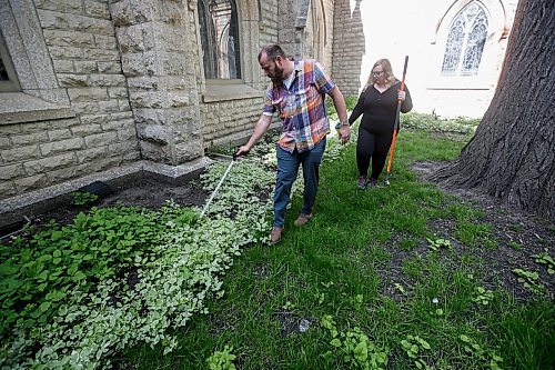 JOHN WOODS / FREE PRESS
Michael Minor, rector&#x2019;s warden, and Sandra Bender, people&#x2019;s warden, search for used needles outside Holy Trinity church in downtown Winnipeg Tuesday, May 28, 2024. Allegedly downtown churches are facing security challenges.

Reporter: john