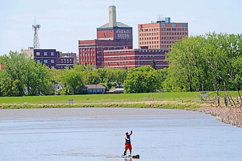 29052024
A paddleboarder makes his way upstream on the Assiniboine River with the downtown Brandon skyline behind him on a sunny Wednesday.
(Tim Smith/The Brandon Sun)