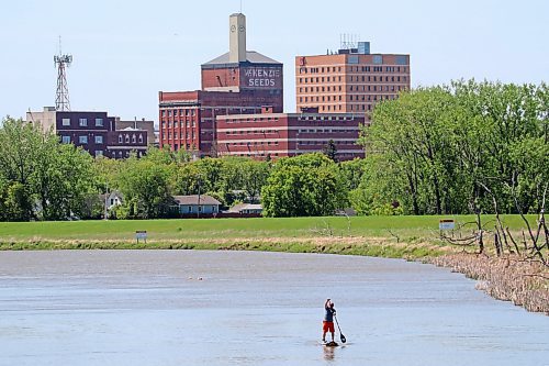 29052024
A paddleboarder makes his way upstream on the Assiniboine River with the downtown Brandon skyline behind him on a sunny Wednesday.
(Tim Smith/The Brandon Sun)