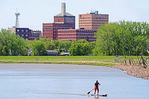 29052024
A paddleboarder makes his way upstream on the Assiniboine River with the downtown Brandon skyline behind him on a sunny Wednesday.
(Tim Smith/The Brandon Sun)