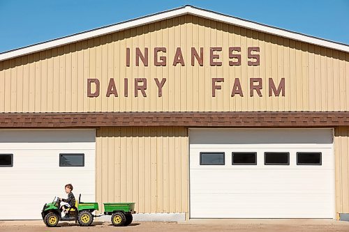 29052024
Three-year-old Ryder Mowatt drives his John Deere XUV at his grandparents dairy farm south of Brandon on Wednesday. 
(Tim Smith/The Brandon Sun)