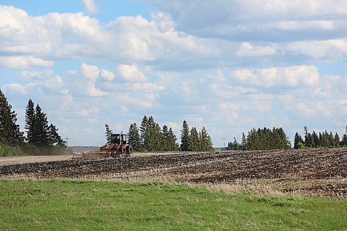 A farmer tills his field south of Brandon. Recent rain has slowed seeding but the extra moisture is welcome for crops. (Charlotte McConkey/The Brandon Sun)