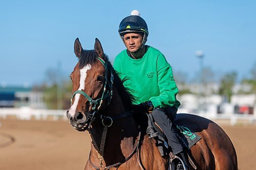 MIKE DEAL / FREE PRESS
Jockey Prayven Badrie on Maibella who&#x2019;s trainer is Mike Nault, Friday morning at Assiniboia Downs.
240531 - Friday, May 31, 2024.
