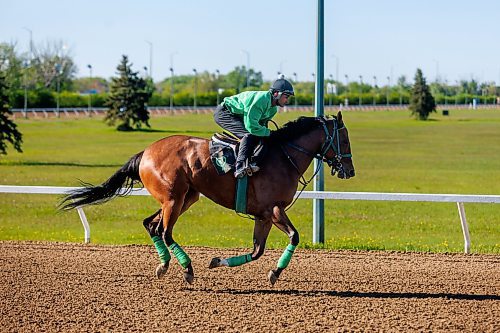 MIKE DEAL / FREE PRESS
Jockey Prayven Badrie on Maibella who&#x2019;s trainer is Mike Nault, Friday morning at Assiniboia Downs.
240531 - Friday, May 31, 2024.