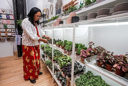 JOHN WOODS / FREE PRESS
Krystle Pagkaliawan, owner of Plant Lab Botanical Designs, is photographed in her Exchange store in Winnipeg Sunday, June 2, 2024. 

Reporter: gabby