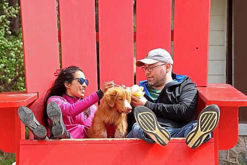 06062024
Parisa Jiwa and Keegan Hill-Mann enjoy a sundae together in an oversized Adirondack chair with their dog Ender while visiting Wasagaming in Riding Mountain National Park from Calgary with family on Thursday. 
(Tim Smith/The Brandon Sun)