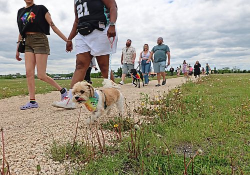 This is the third annual Pooch Pride, but the first one to have a walk around the Riverbank Discovery Centre included. The walk kicked off festivities for Brandon Pride Week, which will be celebrated up to Friday.(Charlotte McConkey/The Brandon Sun)