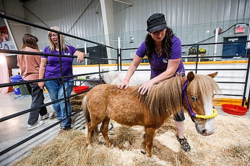 JOHN WOODS / FREE PRESS
Horse auction rescue pony Sassy is care for by Black Bird Ranch Equine Rescue and Rehab co-owners Kim Lyons, right, and Corinne Nykorak during the Manitoba Pet Expo at St Norbert Community Centre Sunday, June 9, 2024. 

Reporter: s/u