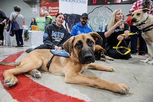 JOHN WOODS / FREE PRESS
Brianne, from left, Kyle, and Jackie show off rescue dogs Jones, front, Von Der Bank and Skippy during the Manitoba Pet Expo at St Norbert Community Centre Sunday, June 9, 2024. 

Reporter: s/u