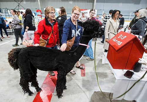 JOHN WOODS / FREE PRESS
Donna Bos, left, and Crystal Joyce say hello to Coleman the alpaca from 313 Farms during the Manitoba Pet Expo at St Norbert Community Centre Sunday, June 9, 2024. 

Reporter: s/u