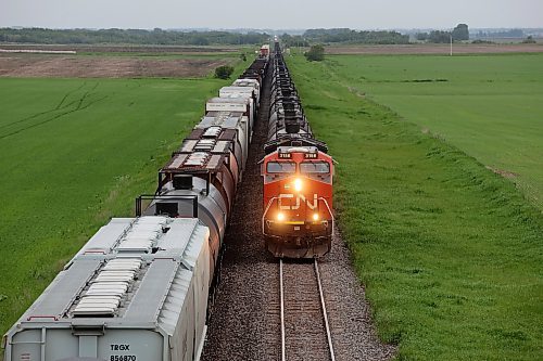 10062024
A CN train makes its way east towards the Harte elevator northeast of Brandon on a grey Monday afternoon.
(Tim Smith/The Brandon Sun)