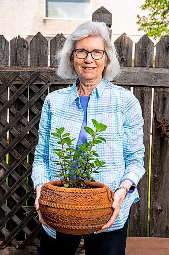 NIC ADAM / FREE PRESS
Herb Society of Manitoba has been around since 1995 providing the general public with information about herbs, what they&#x2019;re used for, and how to grow and harvest them. 
Shelley Walker, President of the Herb Society of Manitoba, poses for a photo with a chocolate mint plant in her backyard. 
240613 - Thursday, June 13, 2024.

Reporter:
