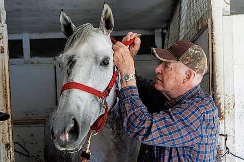 MIKE DEAL / FREE PRESS
The All-Time Leading trainer Gary Danelson with Kate's Princess at Assiniboia Downs who recorded her first win of the season on Wednesday, June 12.
240614 - Friday, June 14, 2024.