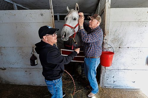 MIKE DEAL / FREE PRESS
Jockey agent Tim Gardiner (left) with the All-Time Leading trainer Gary Danelson (right) and Kate's Princess at Assiniboia Downs. Kate&#x2019;s Princess recorded her first win of the season on Wednesday, June 12.
240614 - Friday, June 14, 2024.