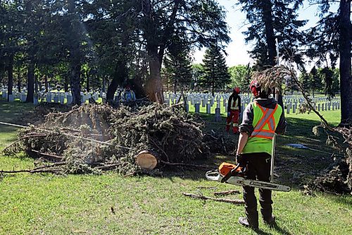 City of Brandon workers clean up a large tree that fell in the Brandon Municipal Cemetery during the high winds and storms that rolled through southwestern Manitoba throughout the weekend. (Tim Smith/The Brandon Sun)