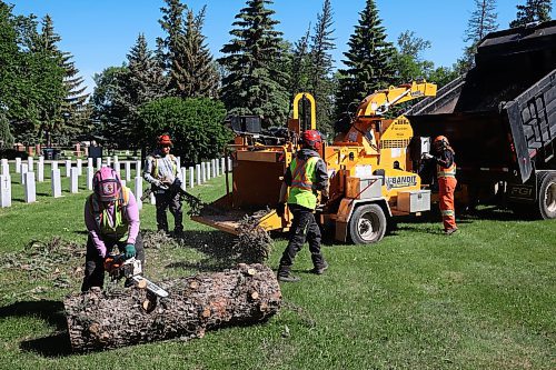 City of Brandon workers clean up a large tree that fell in the Brandon Municipal Cemetery during the high winds and storms that rolled through the region over the weekend. (Tim Smith/The Brandon Sun)