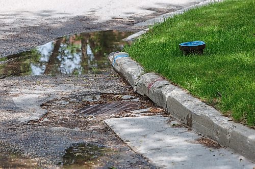 MIKE DEAL / FREE PRESS
The intersection of Augusta Drive and Greensboro Square and Bay.
The condition of the streets in Waverley Heights. Specifically Augusta Drive and Greensboro Bay, showing potholes, crumbling curbs, cracks in the pavement.
240613 - Thursday, June 13, 2024.