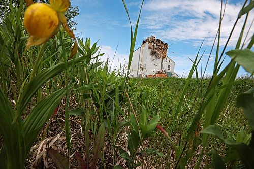 17062024
Debris is strewn around the Sinclair grain elevator in southwestern Manitoba on Monday after it was heavily damaged during storms over the weekend. 
(Tim Smith/The Brandon Sun)