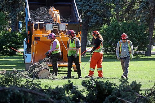 17062024
City of Brandon workers clean up a large tree that fell in the Brandon Cemetery during the high winds and storms that rolled through southwestern Manitoba throughout the weekend. 
(Tim Smith/The Brandon Sun)